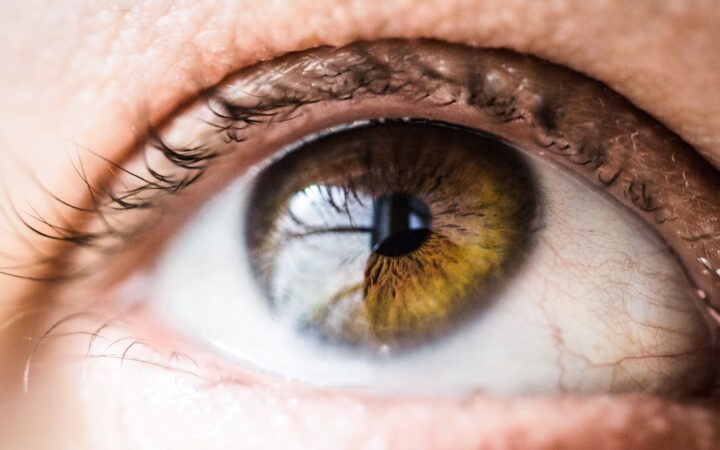 human eye